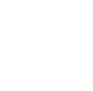 white-logo